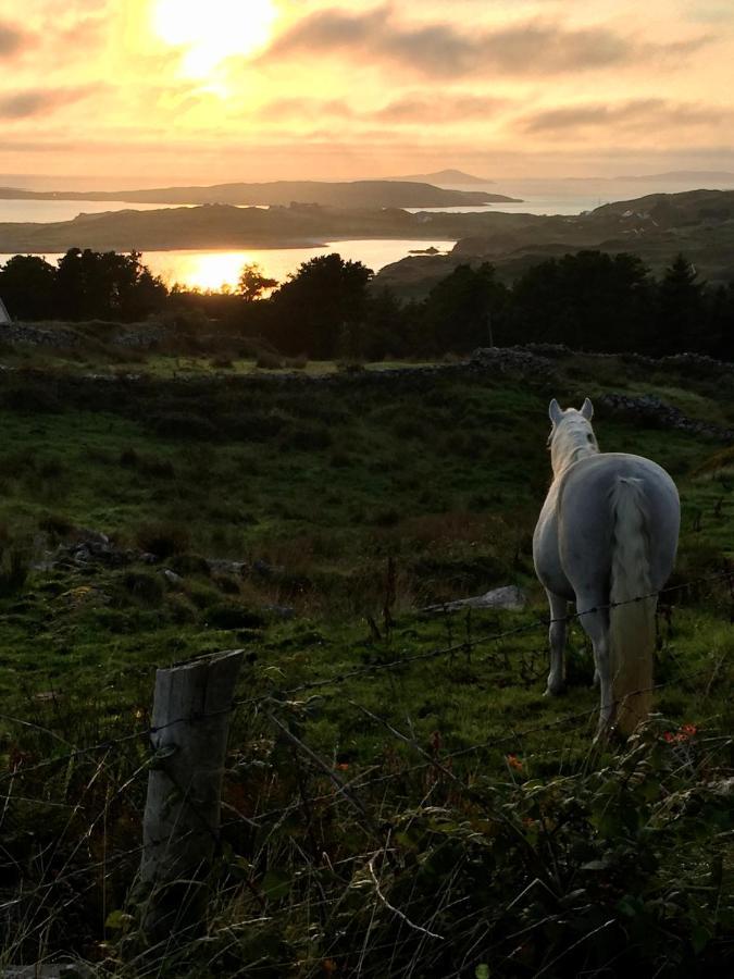 Seafield House B&B Clifden Kültér fotó